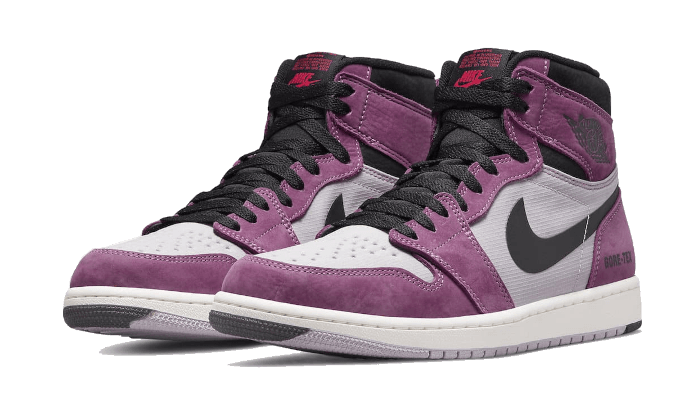 Air Jordan 1 High Element Gore-Tex Berry