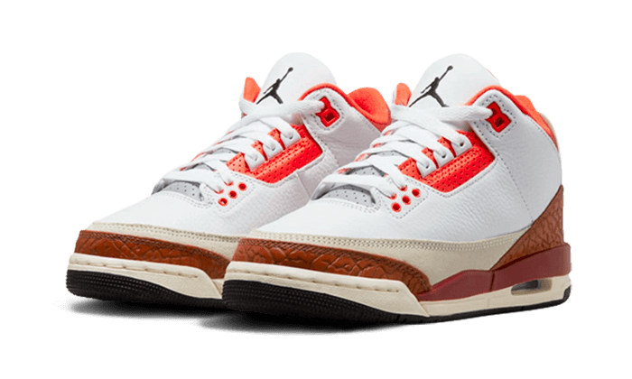 Air Jordan 3 Retro SE Dunk on Mars