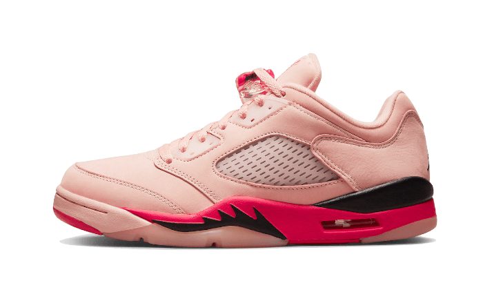Air Jordan 5 Retro Low Girls That Hoop