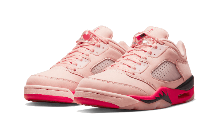 Air Jordan 5 Retro Low Girls That Hoop