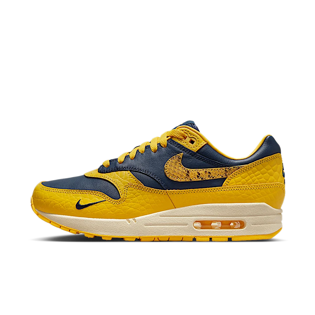 Nike Air Max 1 CO.JP Michigan Head to Head