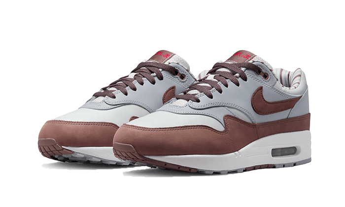 Nike Air Max 1 Premium Shima Shima (2023)