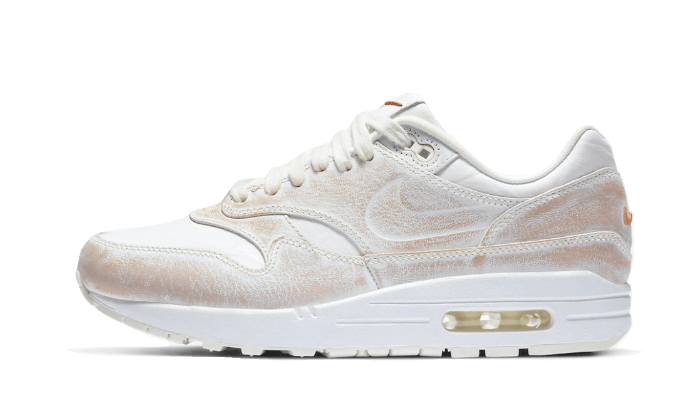 Nike Air Max 1 Yours