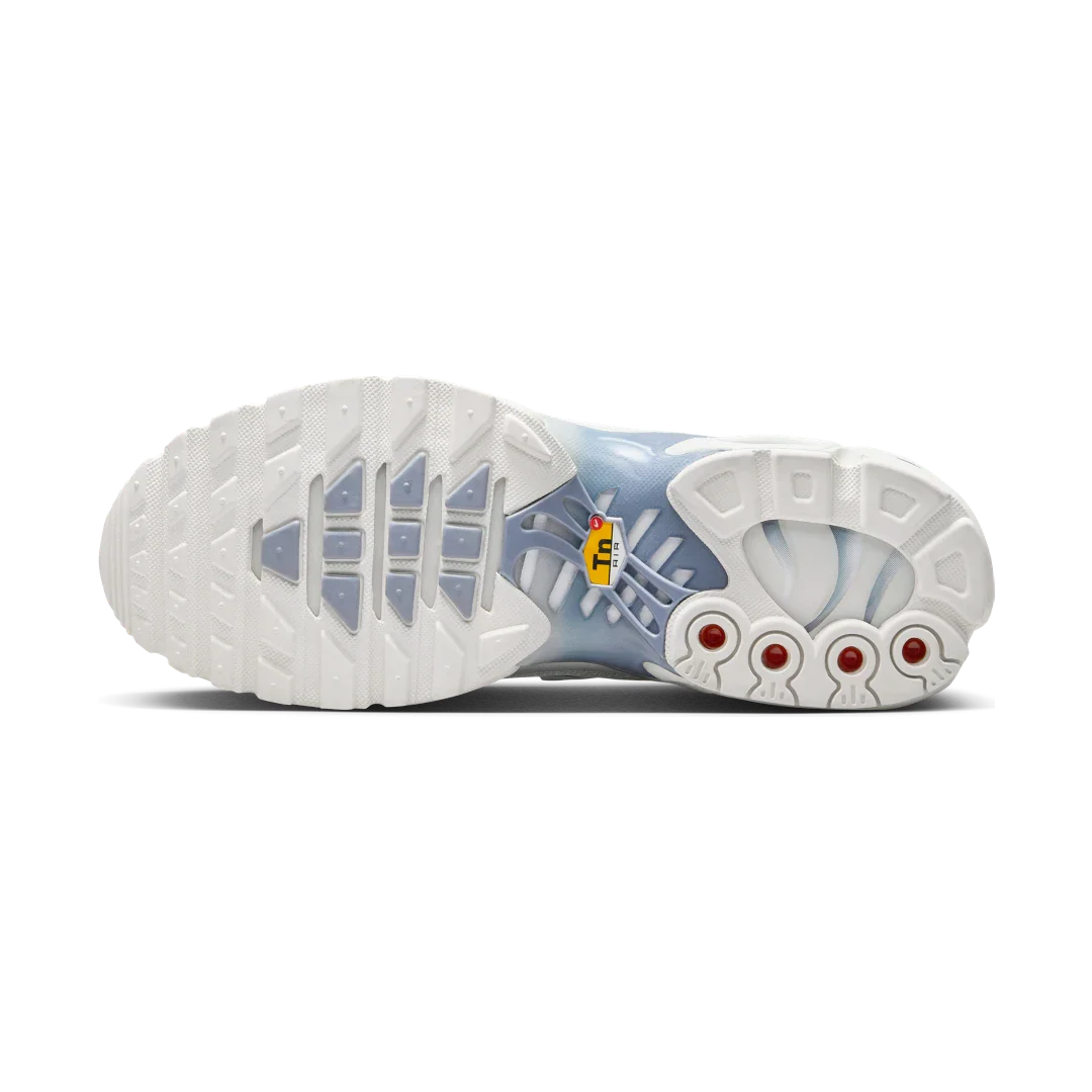 Nike Air Max Plus Ashen Slate