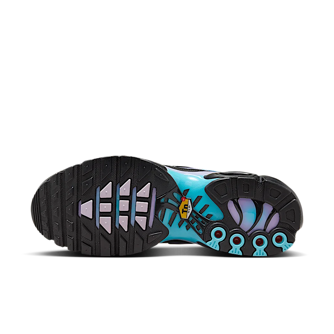 Nike Air Max Plus Black Hydrangeas
