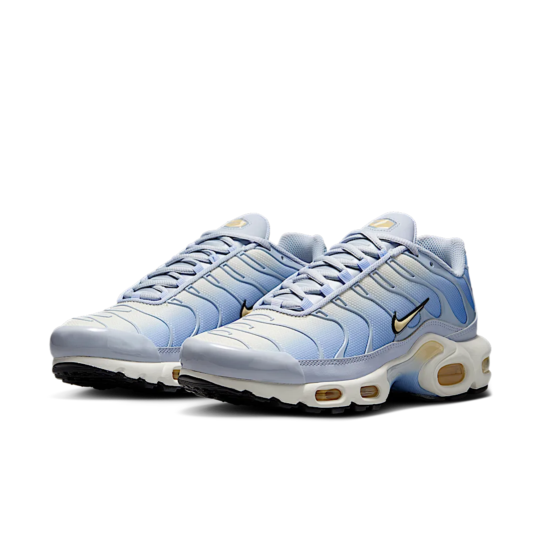 Nike Air Max Plus Daybreak
