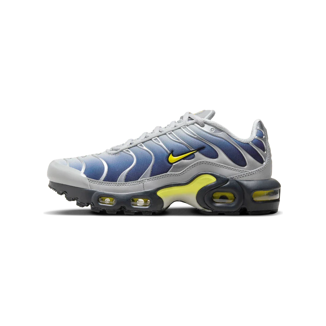 Nike Air Max Plus Obsidian Silver