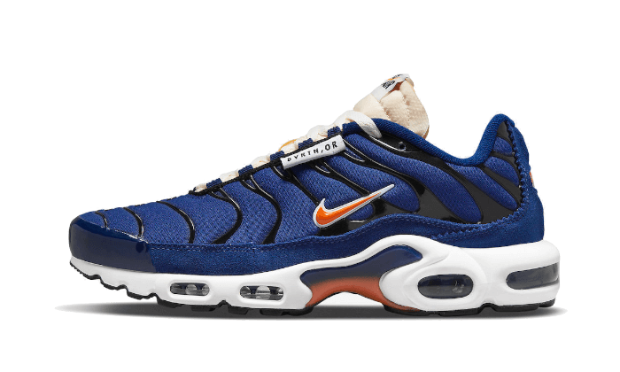 Nike Air Max Plus SE Air Max Running Club