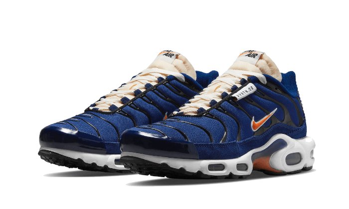 Nike Air Max Plus SE Air Max Running Club