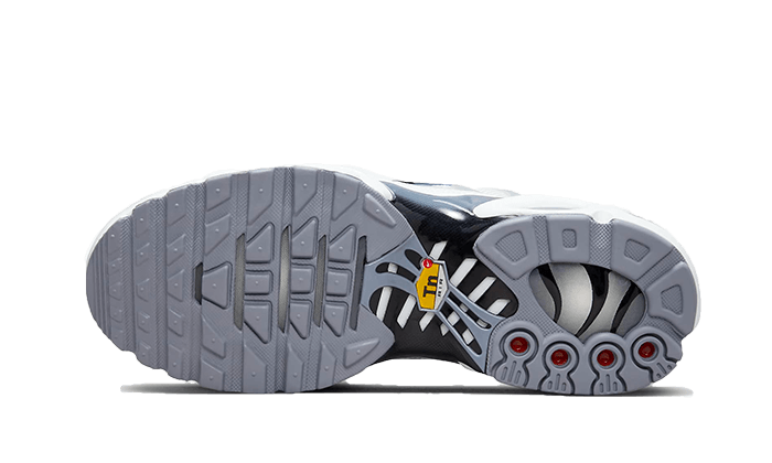 Nike Air Max Plus Smoke Grey Ashen Slate