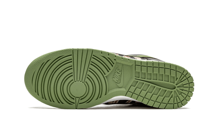 Nike Dunk Low Crazy Camo