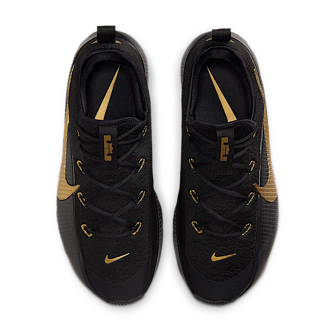 Nike LeBron TR 1 Black Metallic Gold