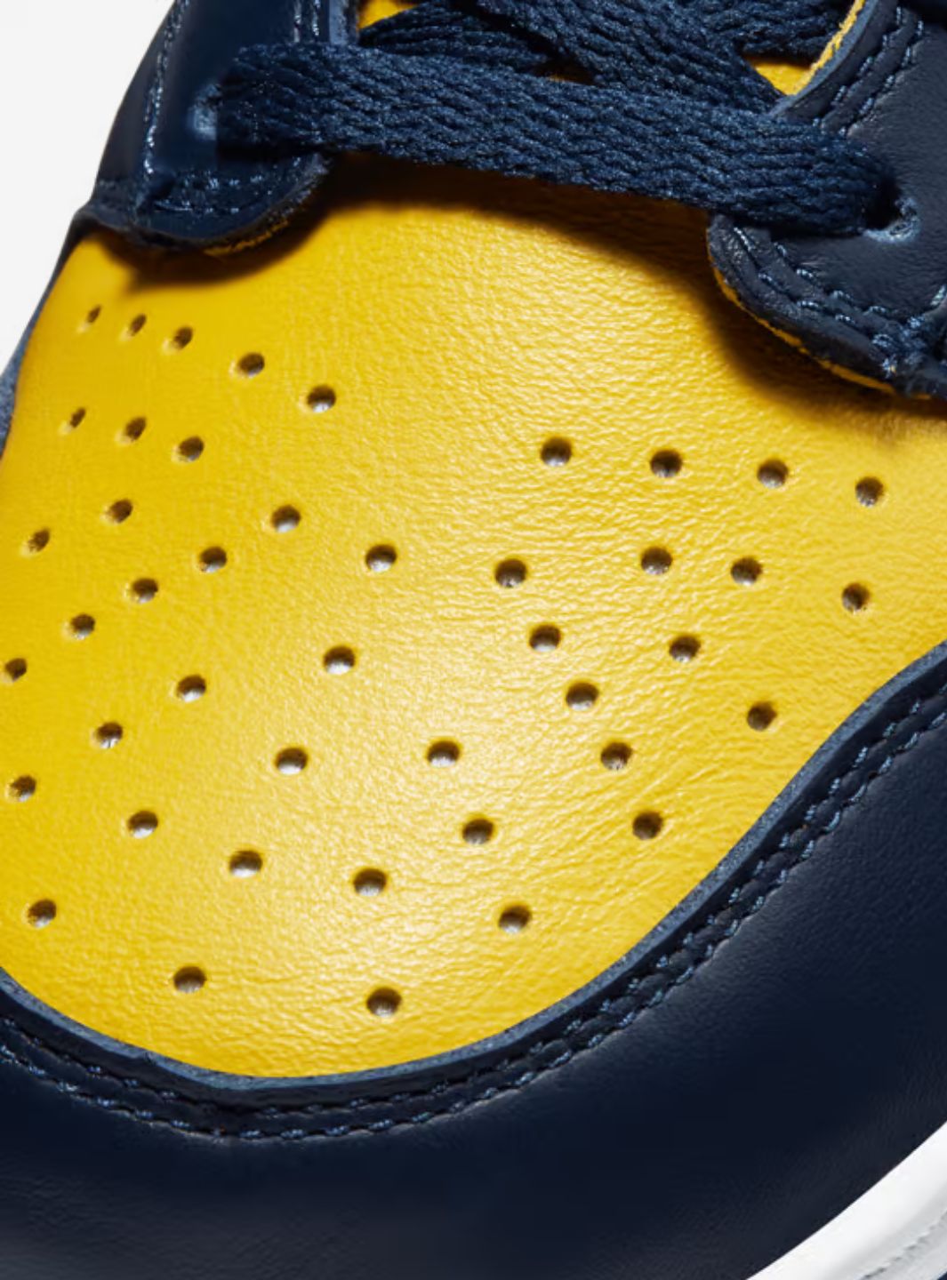 Nike Dunk High Michigan (2020)