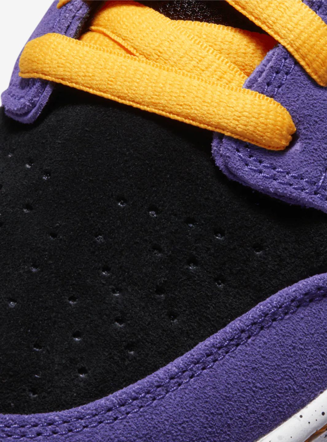 Nike SB Dunk Low ACG Terra