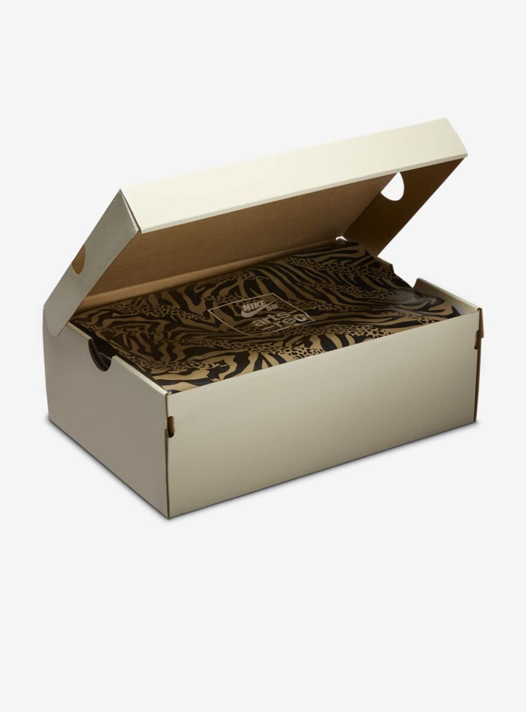 Nike SB Dunk Low Arts-Rec