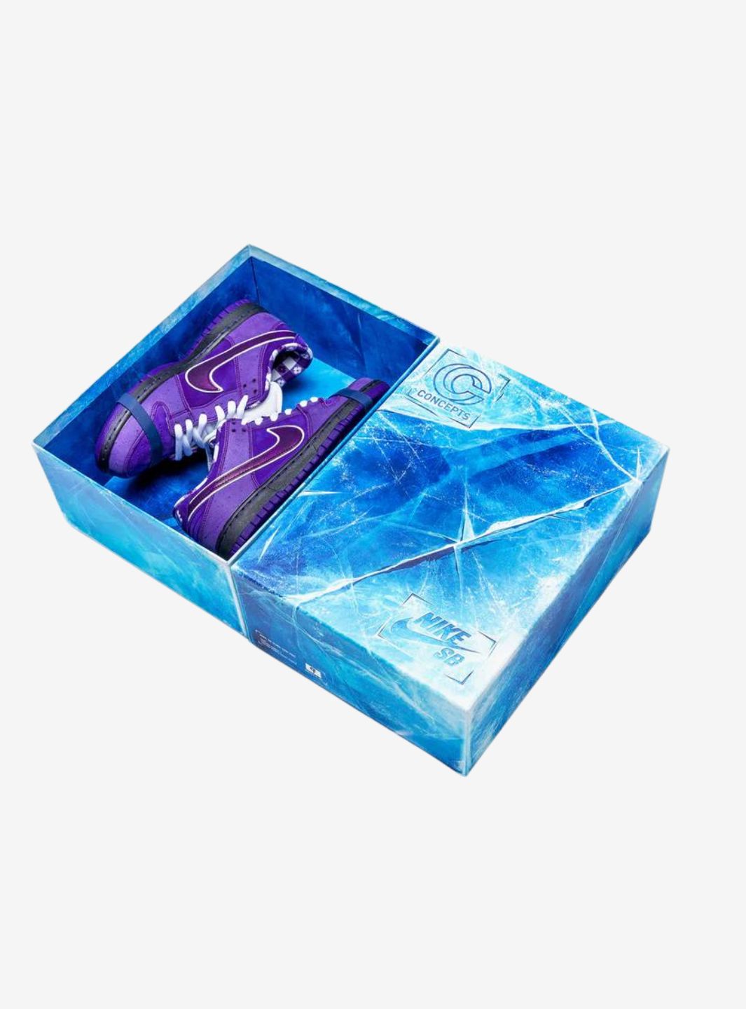 Nike SB Dunk Low Concepts Purple Lobster (Special Box)