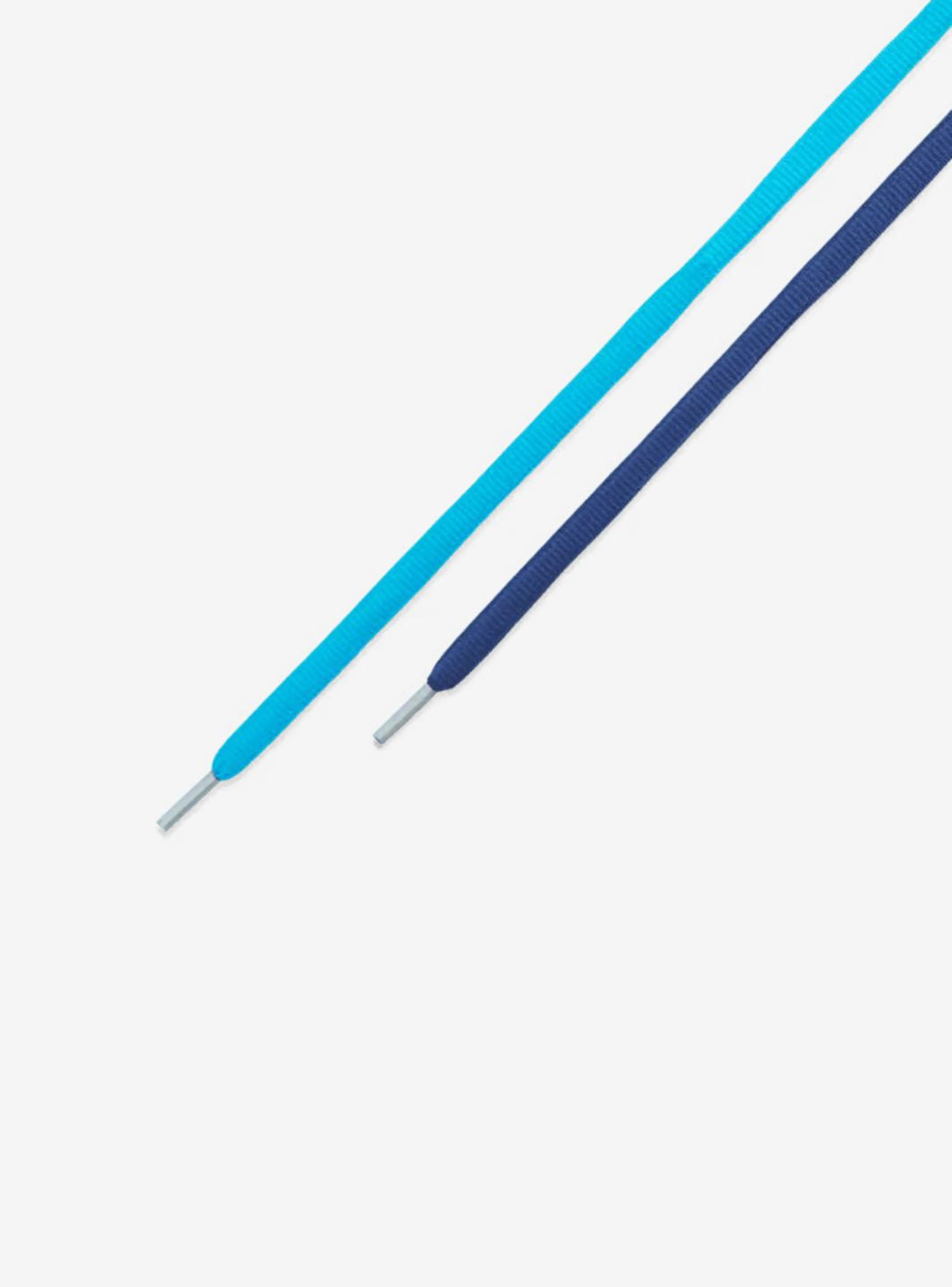 Nike SB Dunk Low Pro Blue Fury