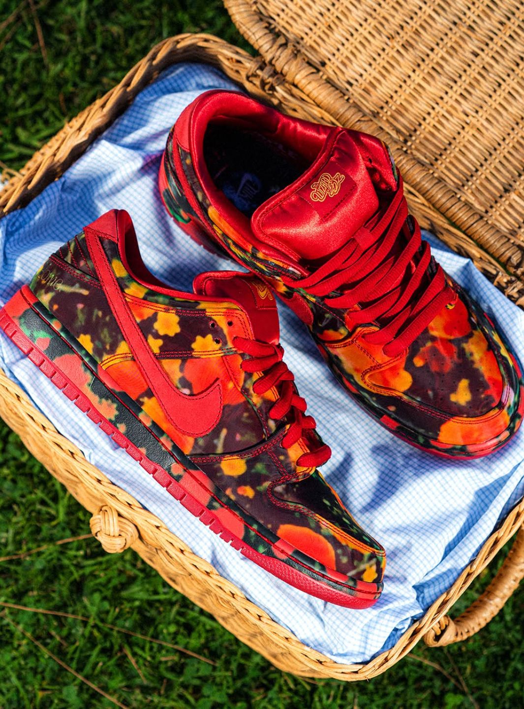 Nike SB Dunk Low The Wizard of Oz Poppy Field