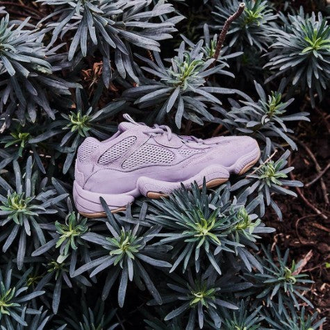 Adidas Yeezy 500 Soft Vision