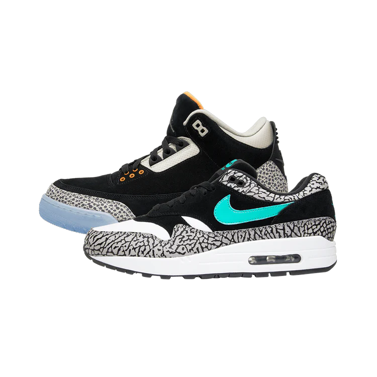 Air Jordan 3 Retro & Nike Air Max 1 atmos Pack