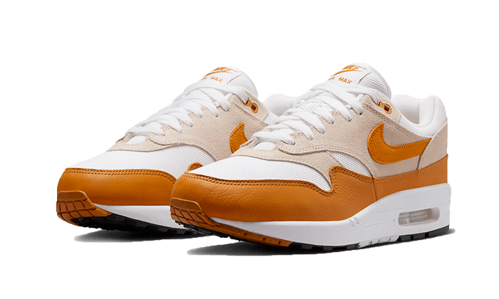 Nike Air Max 1 Bronze