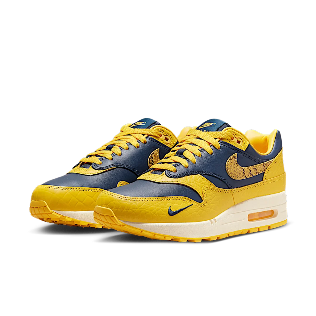 Nike Air Max 1 CO.JP Michigan Head to Head