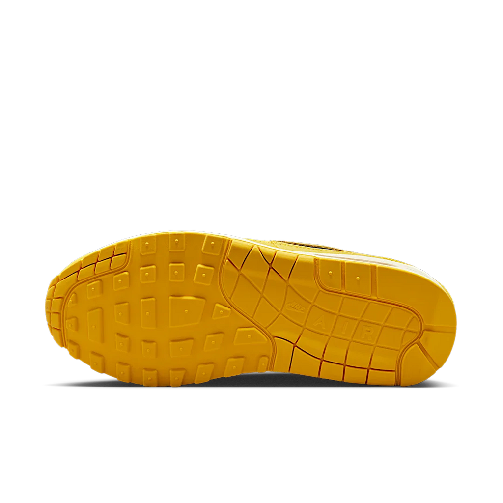 Nike Air Max 1 CO.JP Michigan Head to Head