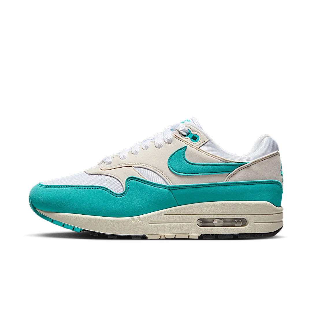 Nike Air Max 1 Dusty Cactus