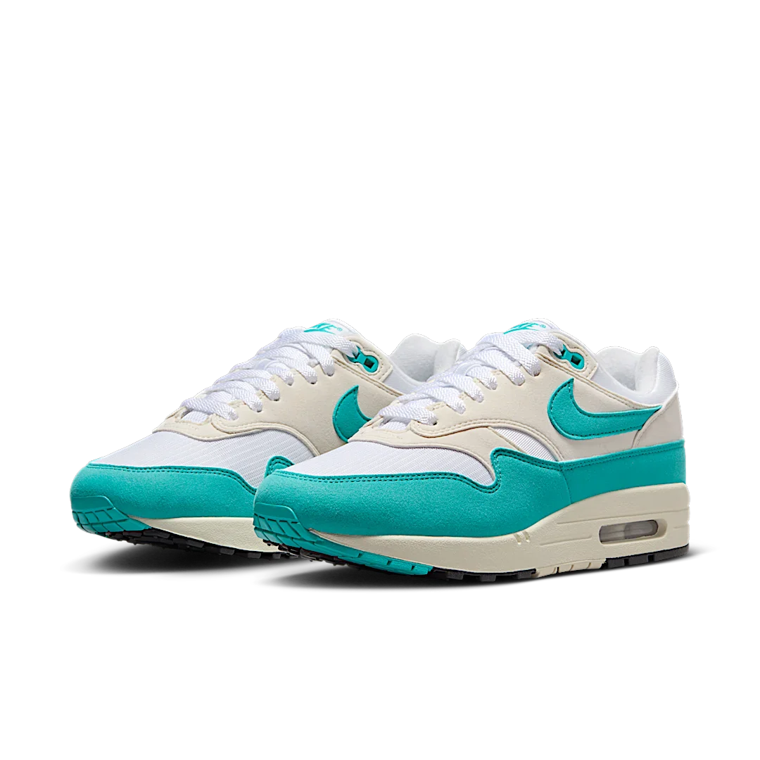 Nike Air Max 1 Dusty Cactus