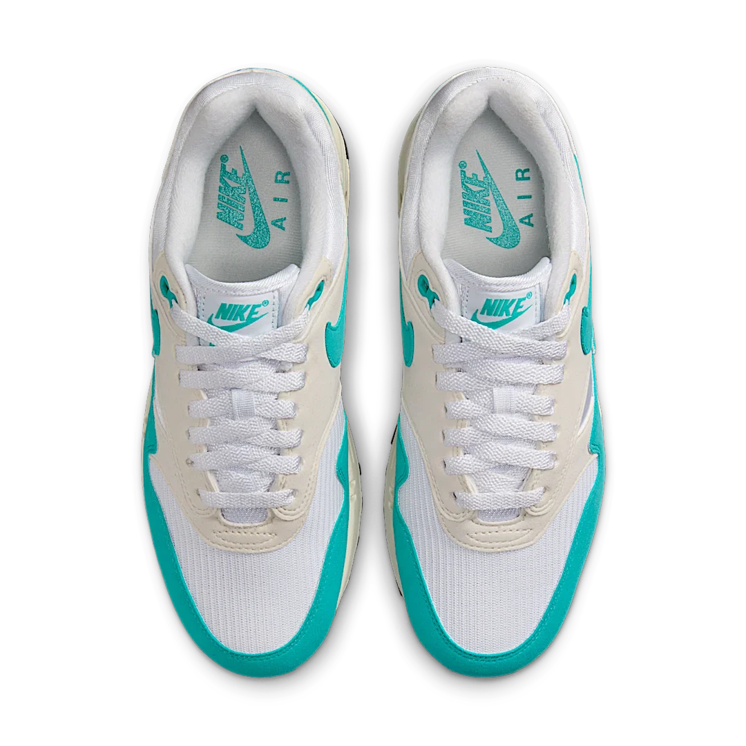 Nike Air Max 1 Dusty Cactus