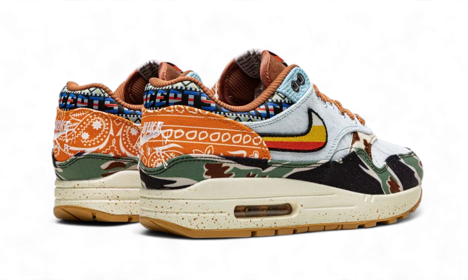 Nike Air Max 1 SP Concepts Heavy