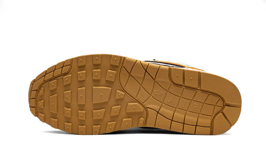 Nike Air Max 1 SP Concepts Heavy