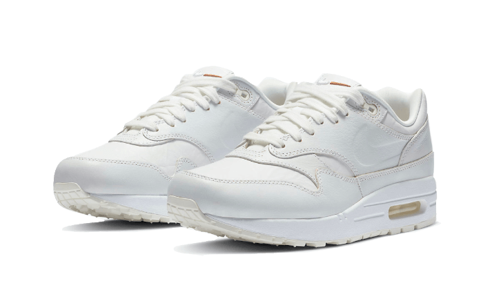 Nike Air Max 1 Yours