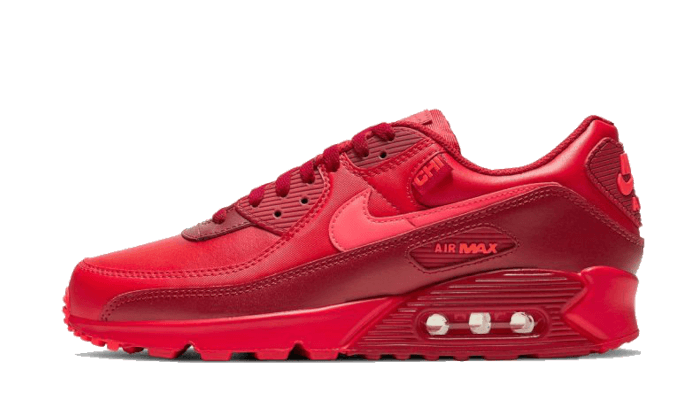 Nike Air Max 90 City Special Chicago