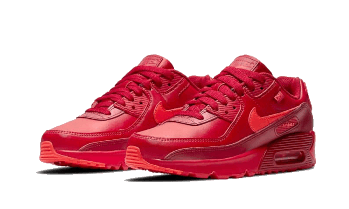 Nike Air Max 90 City Special Chicago