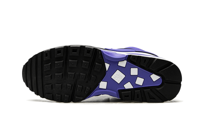 Nike Air Max BW OG Persian Violet (2021)