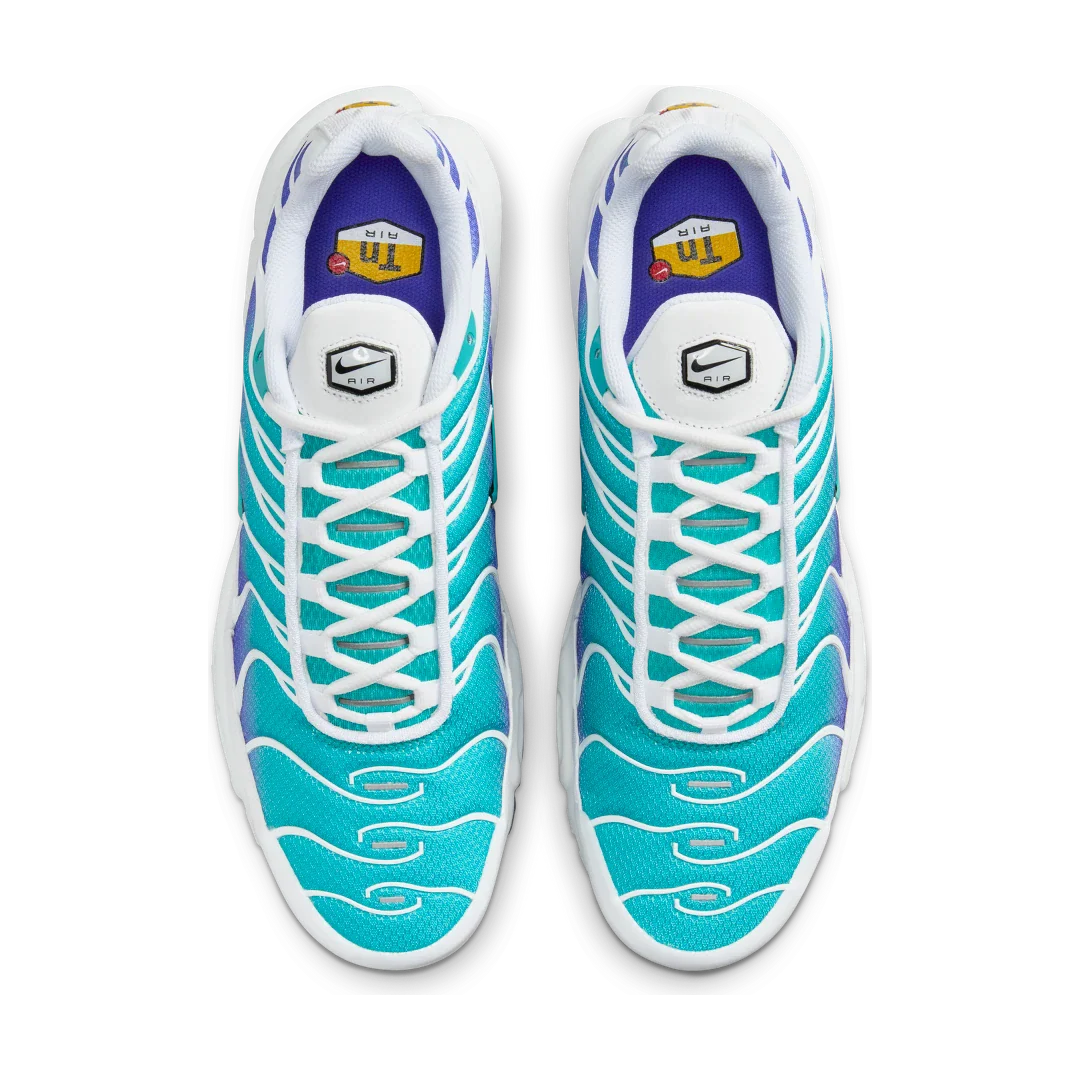 Nike Air Max Plus Aqua