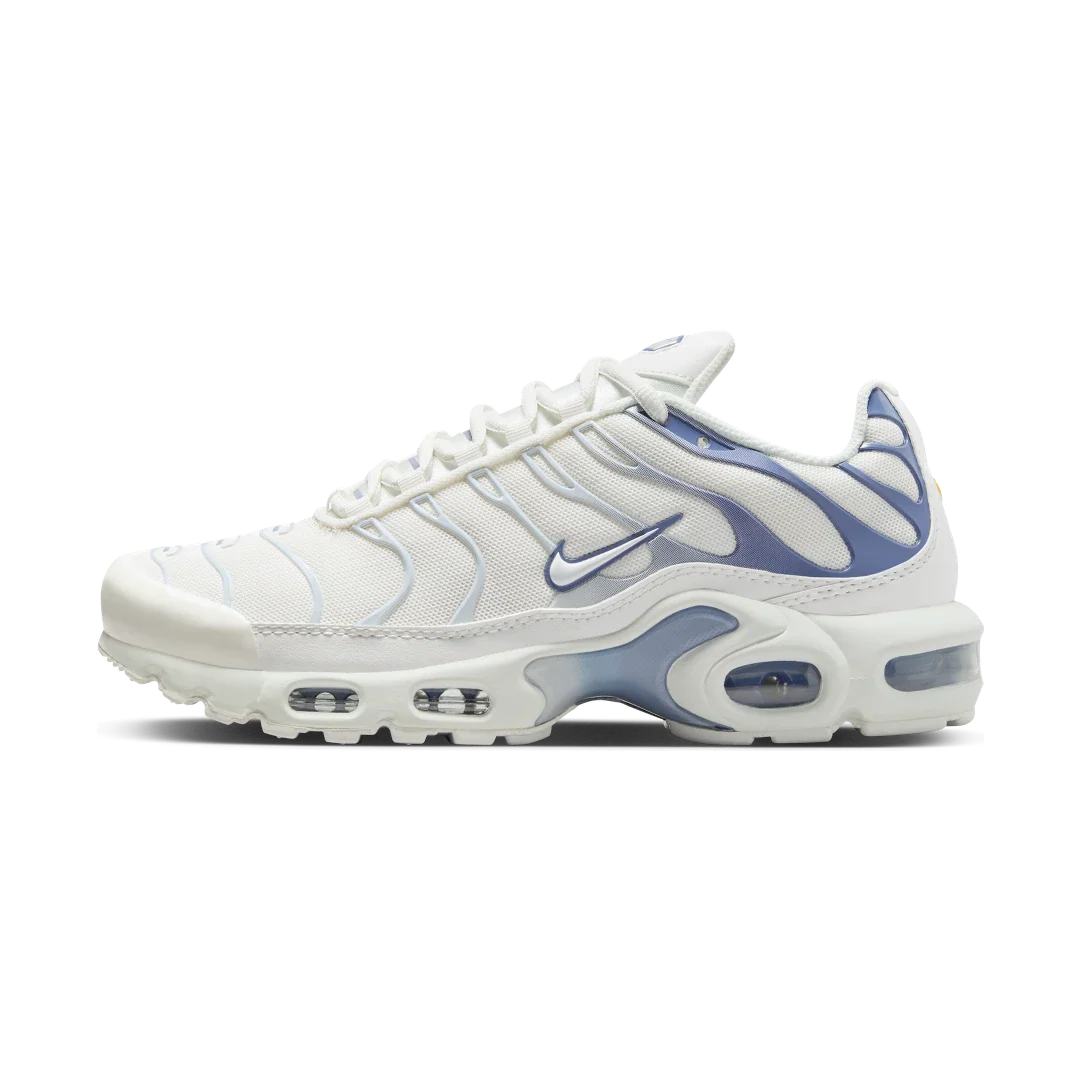 Nike Air Max Plus Ashen Slate