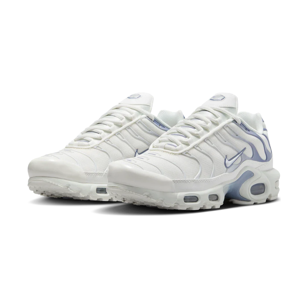 Nike Air Max Plus Ashen Slate