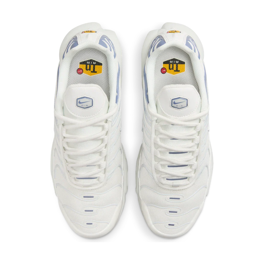 Nike Air Max Plus Ashen Slate