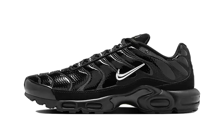Nike Air Max Plus Black Chrome