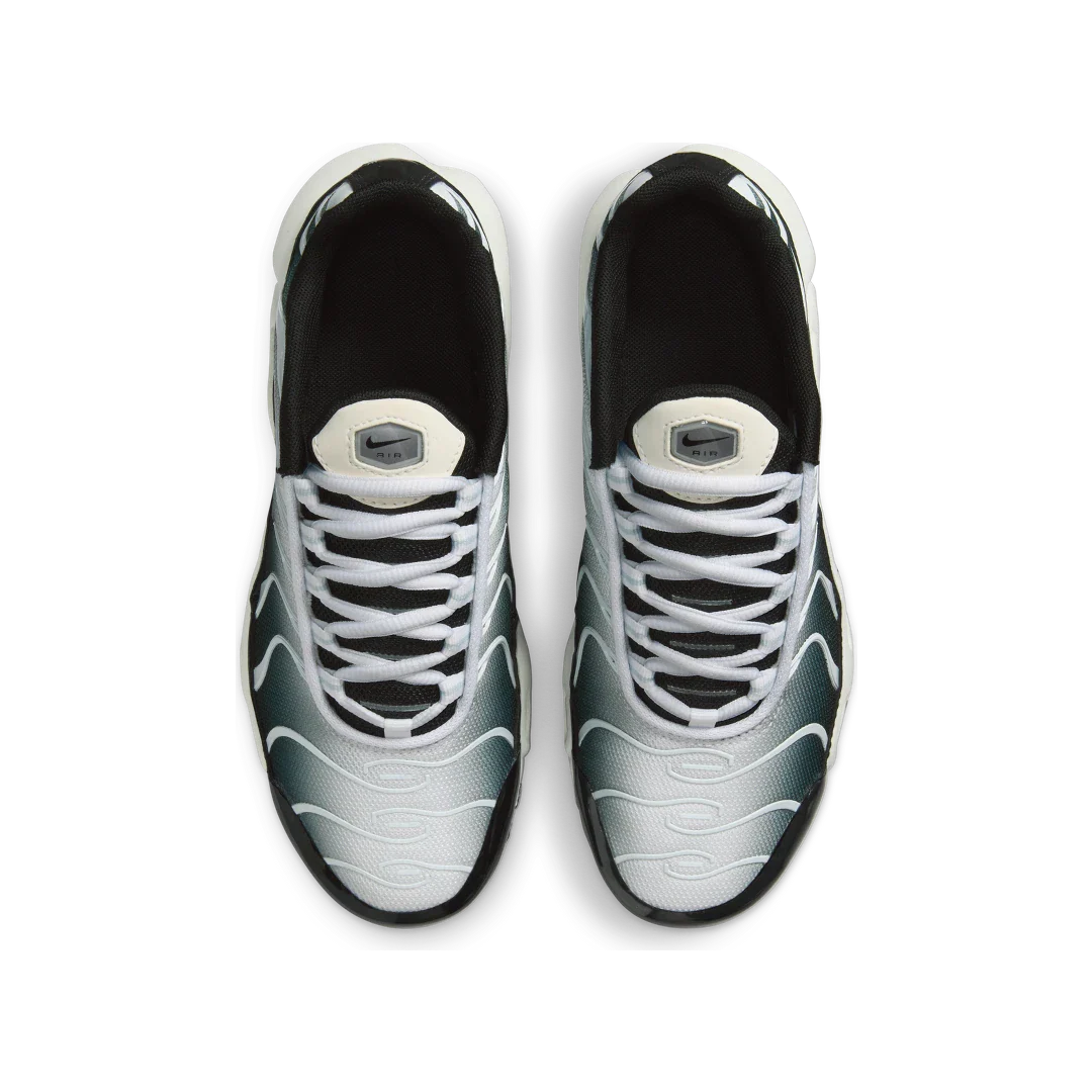 Nike Air Max Plus Black White Sail Metallic Cool Grey