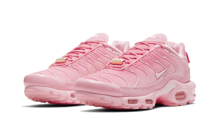 Nike Air Max Plus City Special ATL