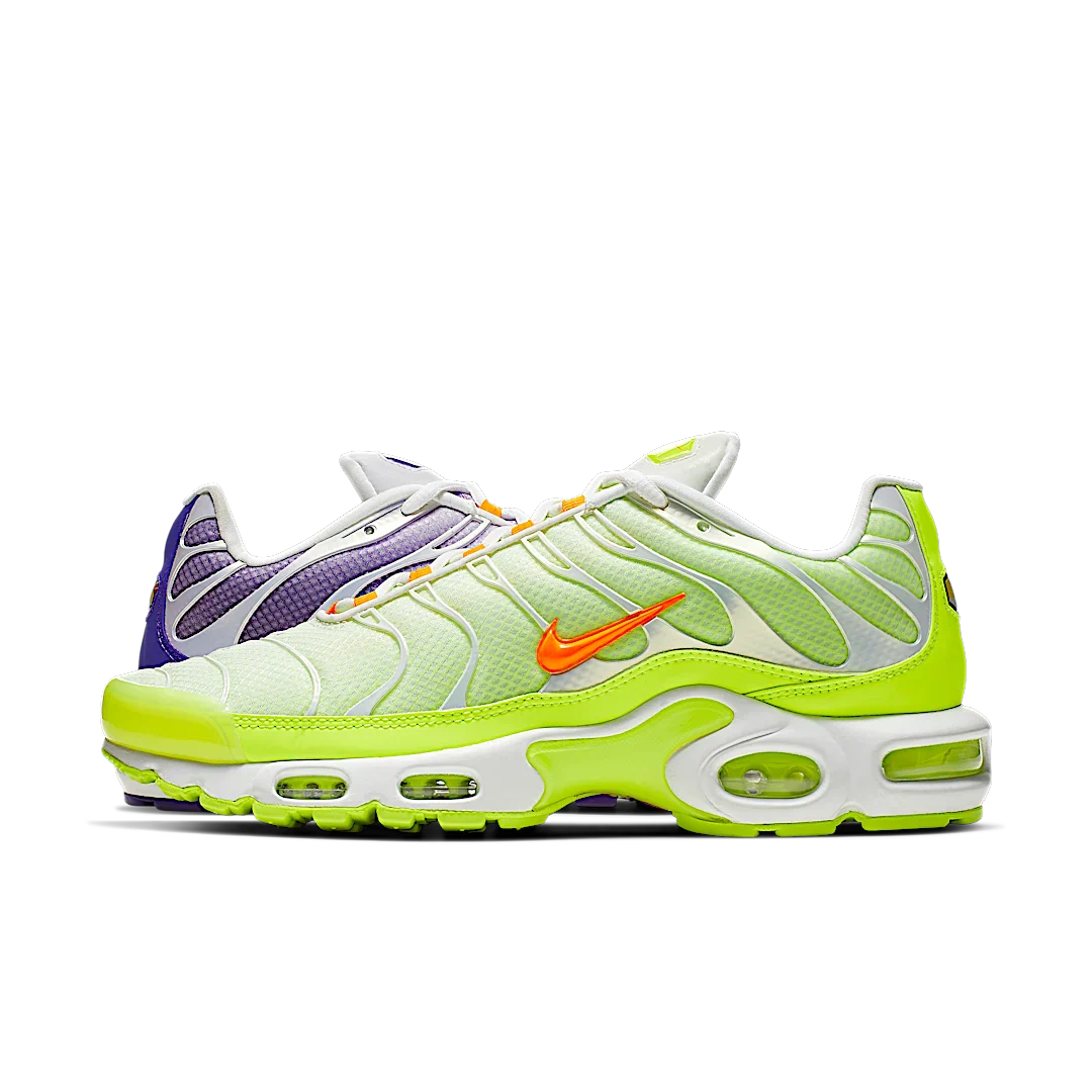 Nike Air Max Plus Color Flip Pack Grape