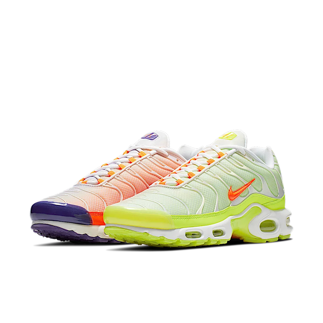Nike Air Max Plus Color Flip Pack Grape