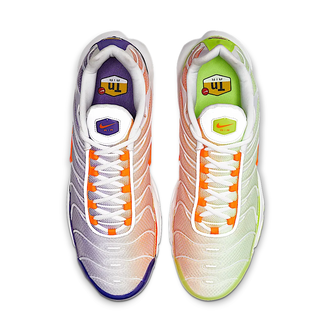 Nike Air Max Plus Color Flip Pack Grape