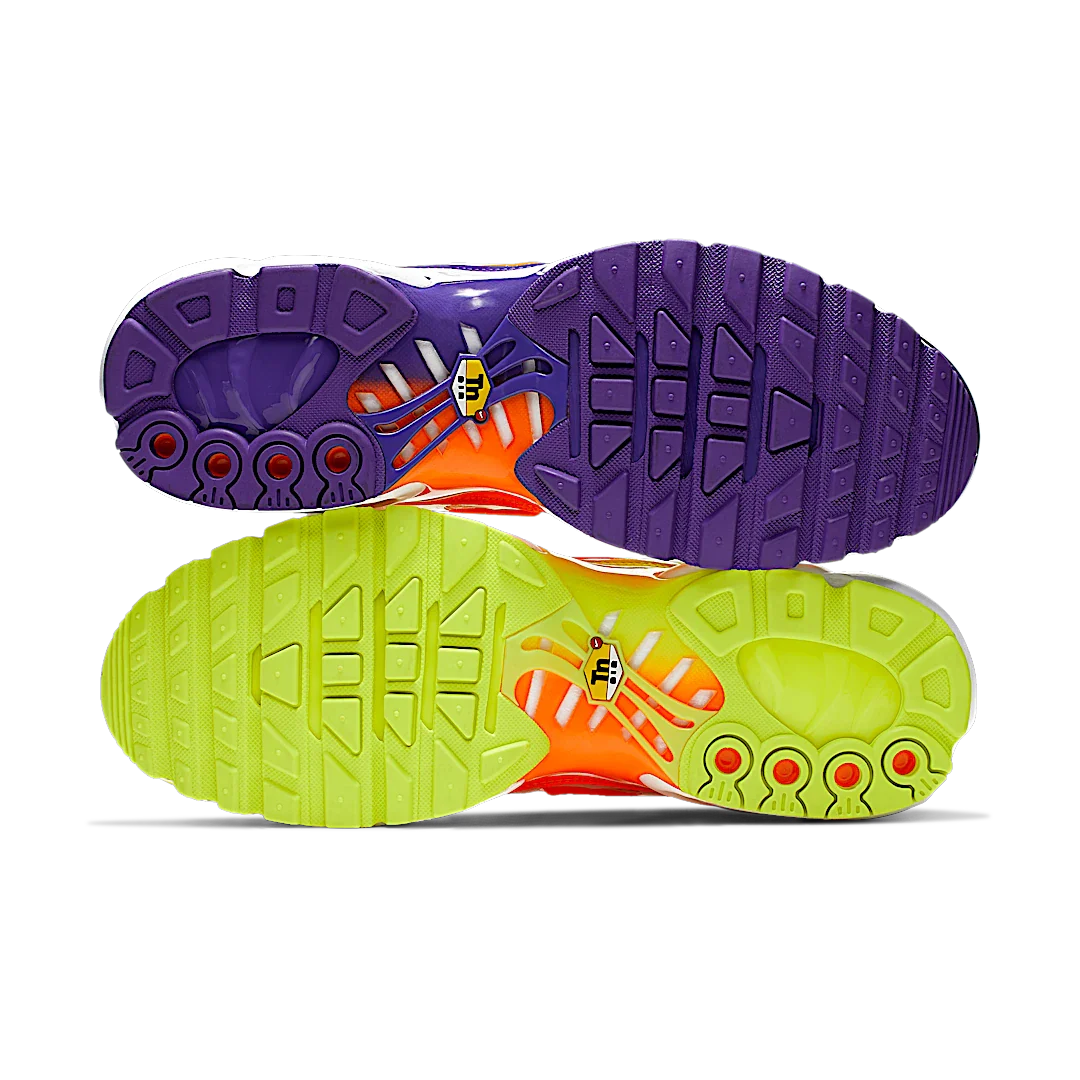 Nike Air Max Plus Color Flip Pack Grape