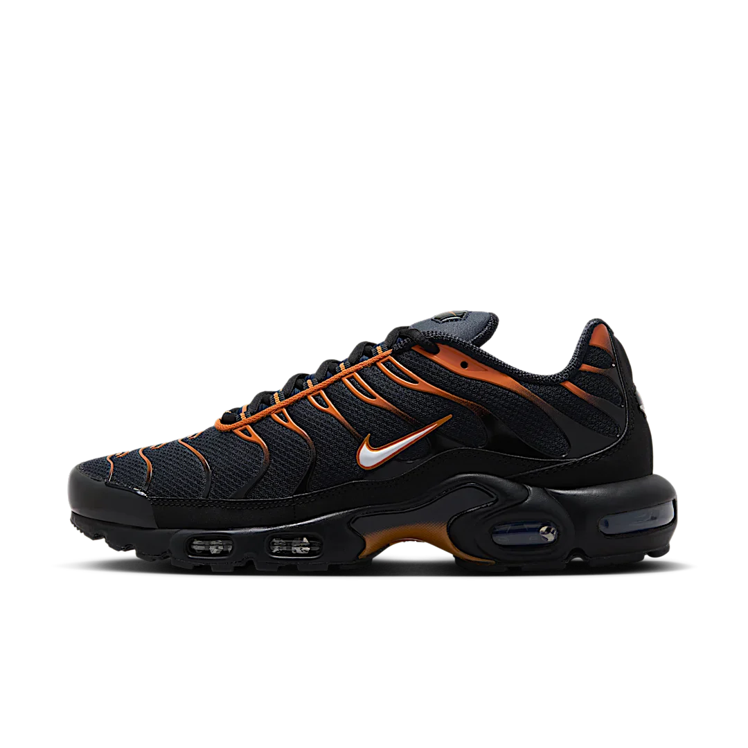 Nike Air Max Plus Dark Obsidian Monarch