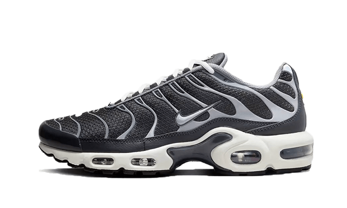 Nike Air Max Plus Greyscale Cool Grey