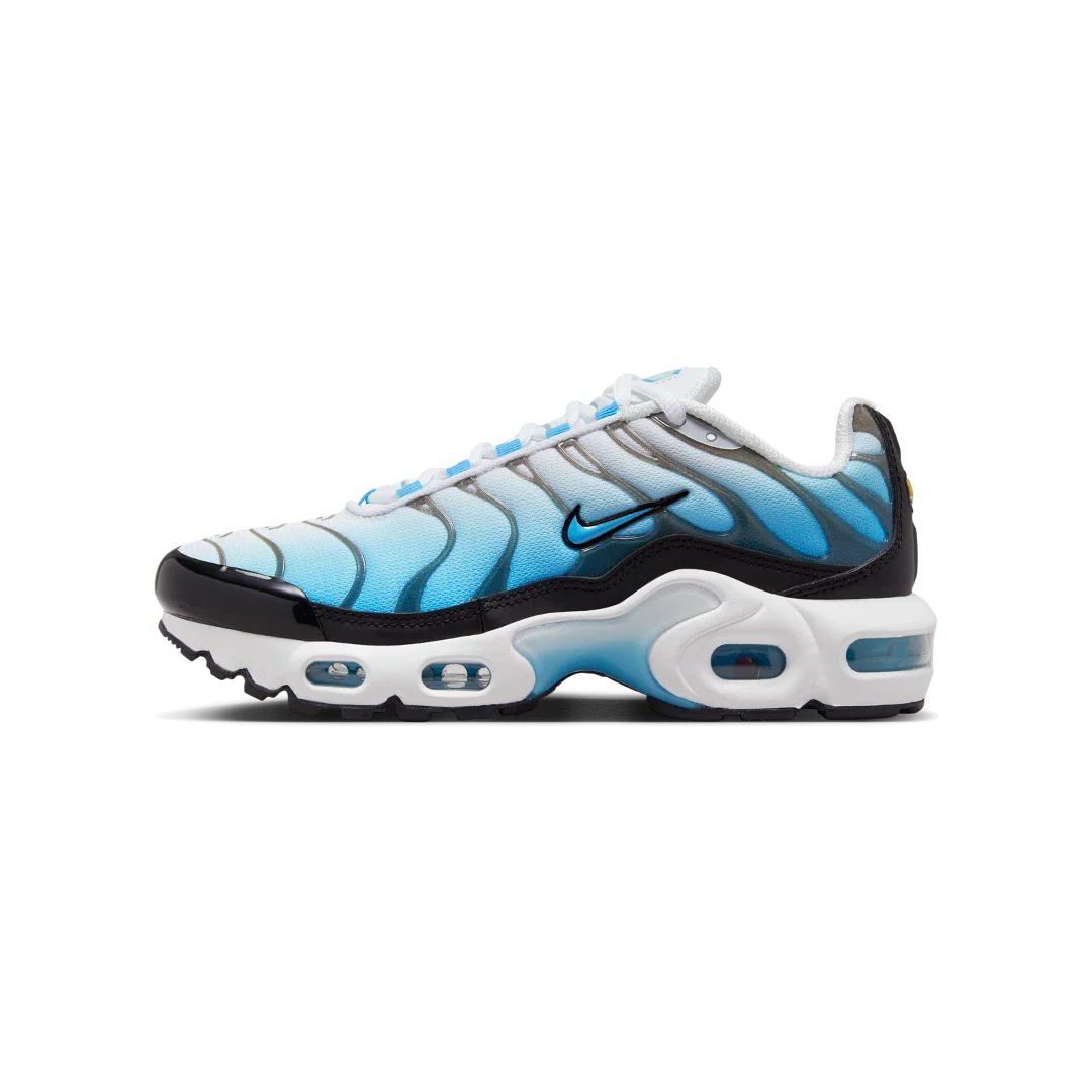 Nike Air Max Plus Ice
